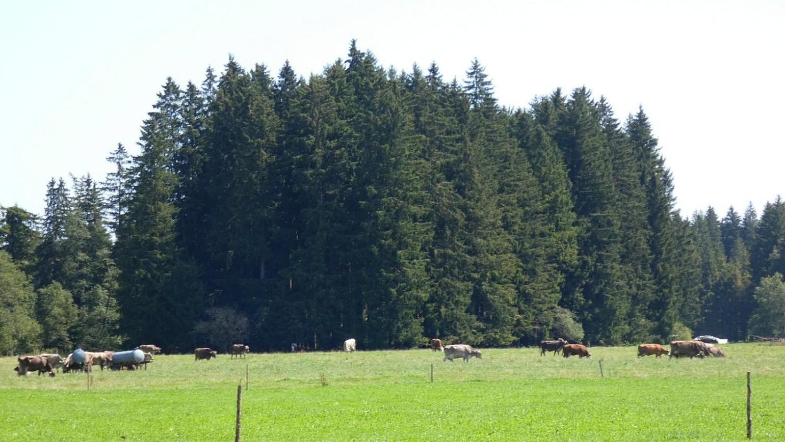 Ferienwohnung Nr 5, Lechbruck-Gruendl, Allgaeu Prem Экстерьер фото